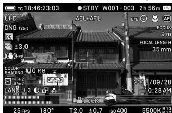 SIGMA FP45MMF28DGDN - AFFICHAGE DU MONITEUR PENDANT LA PRISE DE VUE - 3