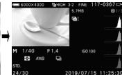 SIGMA FP45MMF28DGDN - (Mode Lecture) - 3