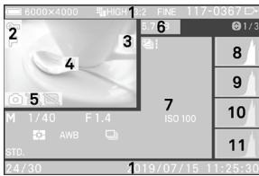 SIGMA FP45MMF28DGDN - AFFICHAGE DES INFORMATIONS D'IMAGE - 2