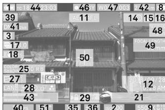 SIGMA FP45MMF28DGDN - AFFICHAGE DU MONITEUR PENDANT LA PRISE DE VUE - 4
