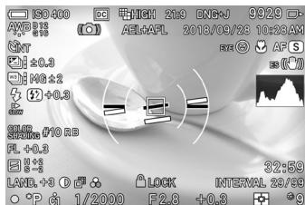 SIGMA FP45MMF28DGDN - AFFICHAGE DU MONITEUR PENDANT LA PRISE DE VUE - 1