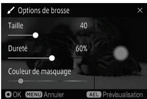 SIGMA FP45MMF28DGDN - UTILISATION DE LA BROSSE - 1