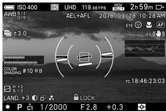 SIGMA FP45MMF28DGDN - AFFICHAGE DU MONITEUR PENDANT LA PRISE DE VUE - 5
