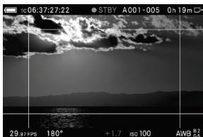 SIGMA FP45MMF28DGDN - Frame of available ratios (Actif / Inactif) - 1
