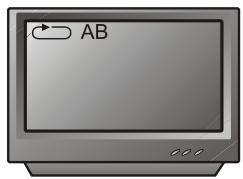PEEKTON PK 6005 MKII - Fonction A-B - 3