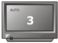 PEEKTON PK 6005 MKII - Sélection du type de standard TV - 4