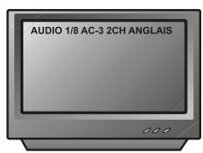 PEEKTON PK 6005 MKII - Fonction AUDIO - 2