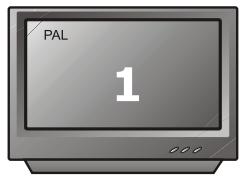 PEEKTON PK 6005 MKII - Sélection du type de standard TV - 2