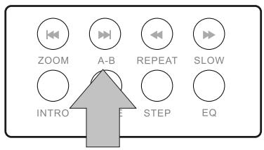PEEKTON PK 6005 MKII - Fonction A-B - 1