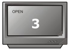 PEEKTON PK 6005 MKII - Lecture d'un DVD - 5