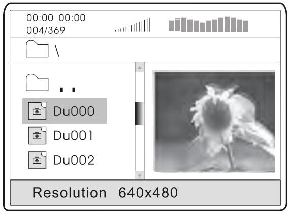 PEEKTON PK 6005 MKII - Affichage des photos - 1