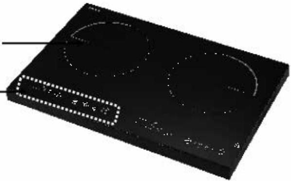 PROLINE iCD3500 - Description du produit - 1