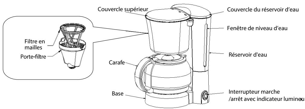 PROLINE CM125B - DESCRIPTION - 1