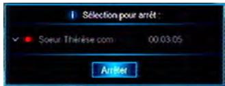CGV 70005 ESAT HD-W2 - Arrêteur enregistrement - 1