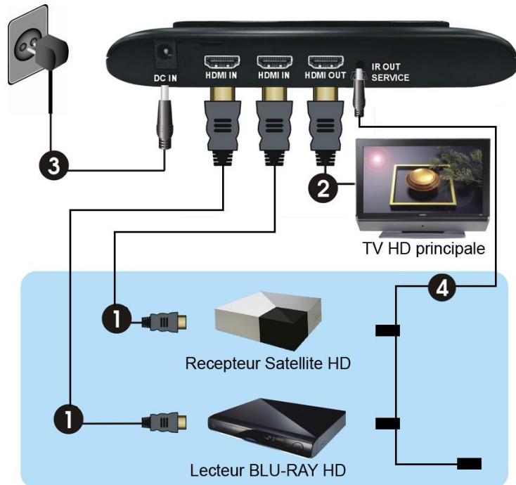 CGV BOITV FREELINE HD2 - Etape 1 : Branchement des appareils HD sur le transmetteur - 1