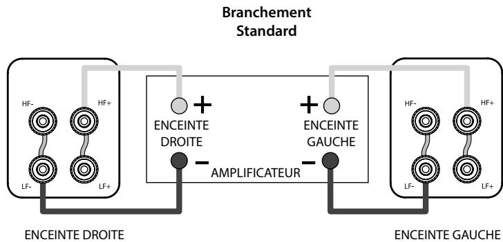 0 ACOUSTICS Concept 20 White X2 - Branchement - 3