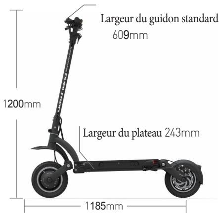 DUALT NC - Taille du produit - 1