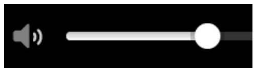 TOMTOM GO PROFESSIONAL 620 - Contrôle du volume des appeals mains-libres - 1