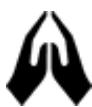 TOMTOM GO PROFESSIONAL 620 - Religion - 1