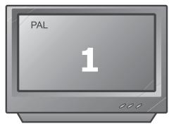 PEEKTON PK6006 - Sélection du type de standard TV - 2