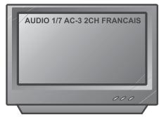 PEEKTON PK6006 - Fonction AUDIO - 3