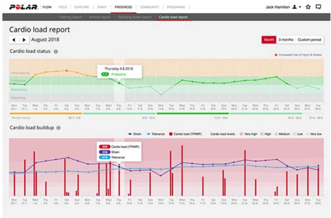 POLAR VANTAGE V2 NOIR - ANALYSE À LONG TERME DANS L'APPLICATION ET SUR LE SERVICE WEB FLOW - 3