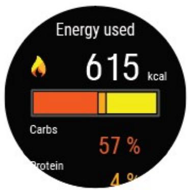 POLAR VANTAGE V2 NOIR - RÉSUMÉ DES SOURCES D'ENERGIE - 1