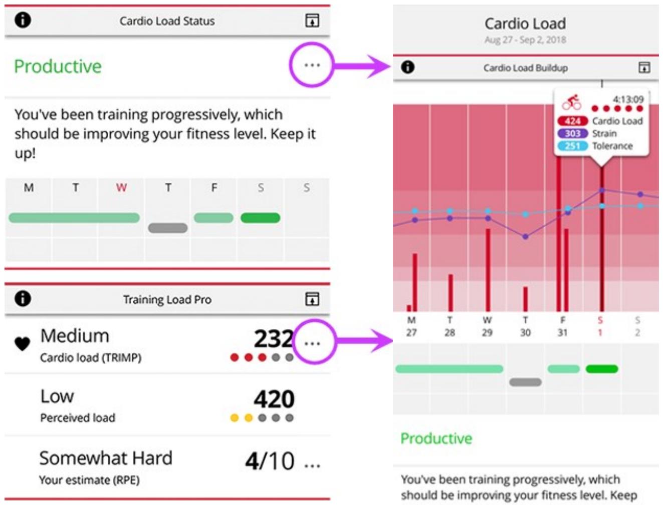 POLAR VANTAGE V2 NOIR - ANALYSE À LONG TERME DANS L'APPLICATION ET SUR LE SERVICE WEB FLOW - 1