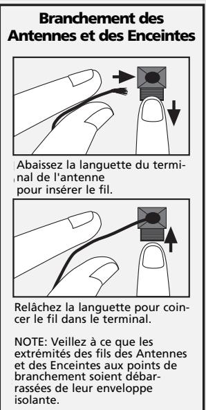 THOMSON LDPL 930 VD - Polarités des Enceintes - 1