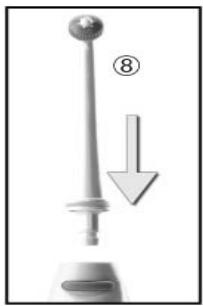 SPORT ELEC JP 38 - COMMENT UTILISER LE JET DENTAIRE - 1
