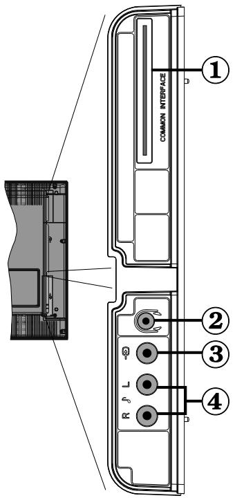 BRANDT B 2206 LVDXW - Affichage des branchements - Prises latérales - 1