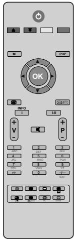 BRANDT B 2206 LVDXW - Accessoires - 1