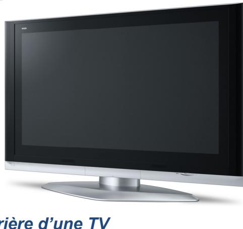 STOREX TWINBOX 230C - FACE ARRIÈRE - 3
