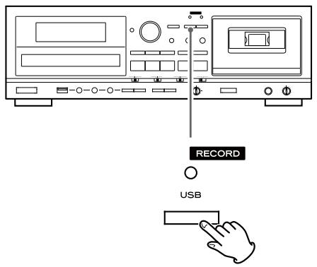 TEAC AD-800 - Appuyez à nouveau sur la touche RECORD USB pour lancer l'enregistrement. - 1