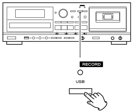 TEAC AD-800 - Division manuelle de fichier - 1