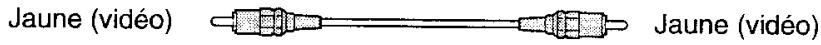 SONY HTP 1000 - B Cordon video (non fourni) - 1