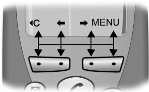 SIEMENS A31008-C250-G101-1-2X19 - Touches écran - 1