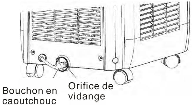 PROLINE 6R700 - Raccorder le tuyau de vidange fourni sur l'orifice de vidange : - 1