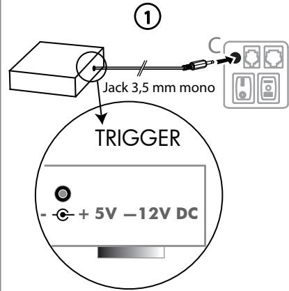 LUMMAJ 1'7OCHD - Déclenchement automatique (trigger) - 1