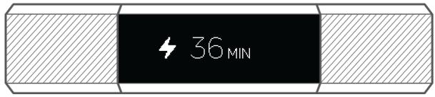 FITBIT L4301382 - Affichage des statistiques quotidiennes - 6