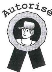 SCHOLTES MWA 23 XA INOX - RECOMMANDATIONS IMPORTANTES DE SECURITE - 3