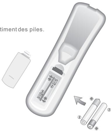 PROLINE DFV 13 - Télécommande - 1