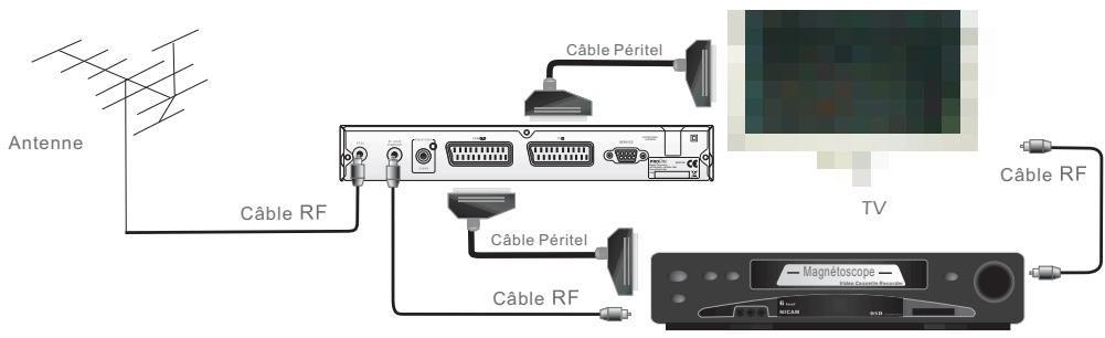 PROLINE DFV 13 - Connector à un magnétoscope avec le cable PERITEL - 1
