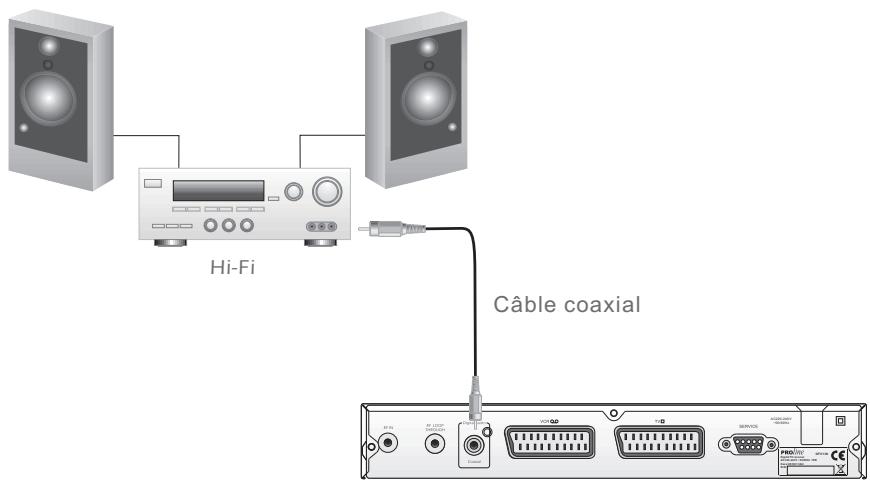 PROLINE DFV 13 - Connector à un système HiFi - 1