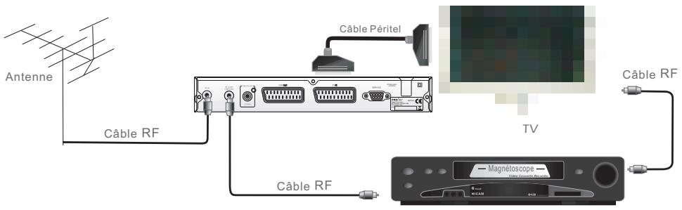 PROLINE DFV 13 - Connector à un magnétoscope sans PERITEL - 1