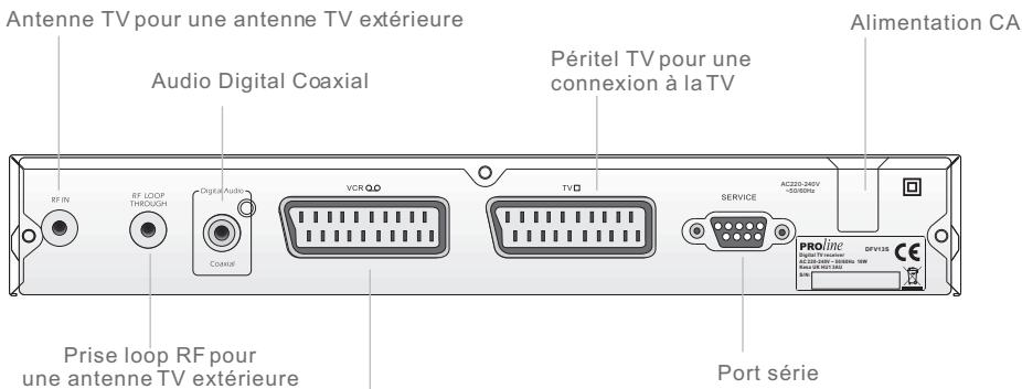 PROLINE DFV 13 - A propos de l'adaptateur TNT - 2