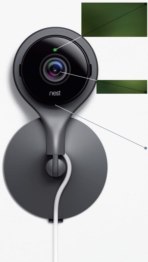 NEST NC - 2