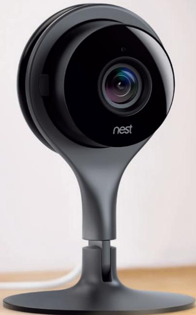 NEST NC - 1