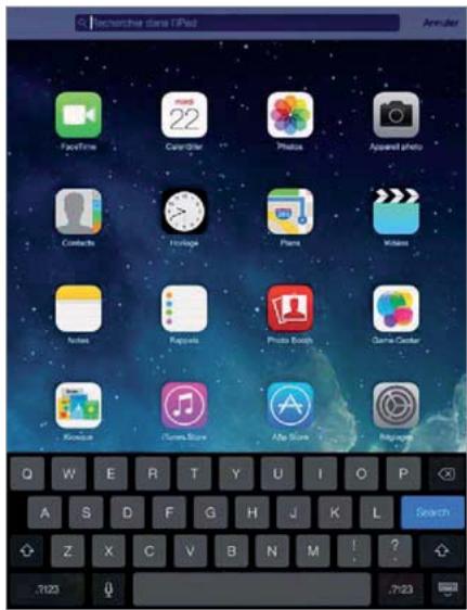 APPLE IPAD AIR 16 GO WIFI GRIS - Rechner - 1
