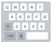 APPLE IPAD AIR 16 GO WIFI GRIS - Dispositions de clavier - 1